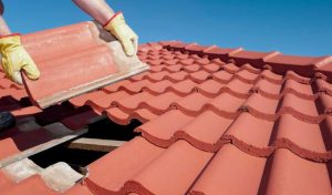 Maintain Your Gutters and Downspouts